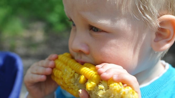 preschooler eating healthy food